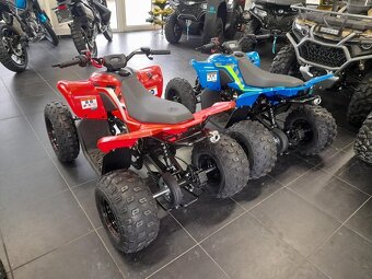 CFMOTO Gladiator X110 LE - 2