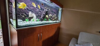 Prodám akvárium - 2