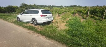 Vinice 1103m2 - 2