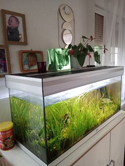 Aquarium aquatlantis 200 l - 2