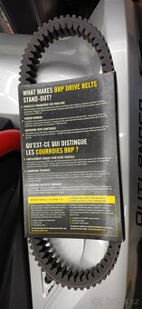 Řemen na Can Am Out/Rene - 2