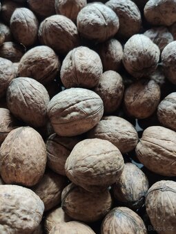 Vlašské ořechy loupané i neloupané - 2