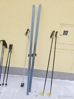 Prodám běžky 195 cm - 2