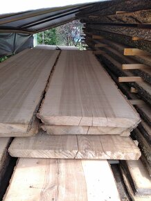 Fošny jasan, javor, dub, olše a břiza - 2