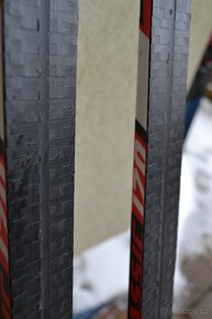 běžky 170 cm se šupinami boty EU 39 hole 150cm - 2