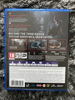 Shadow of the Tomb Raider ps4 - 2