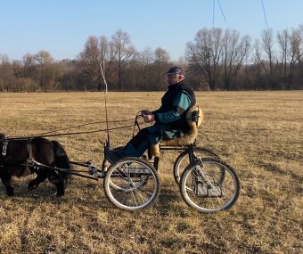 Vozík za pony - 2