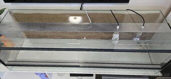 Terarium - 2