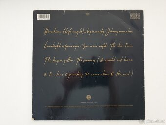 Sandra - Paintings in Yellow LP - 2