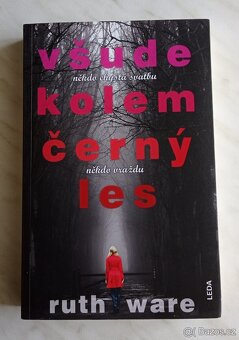 Všude kolem černý les - 2