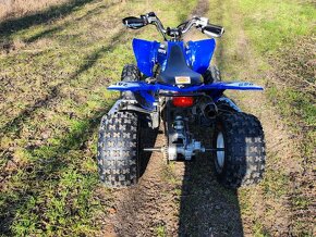 Yamaha raptor 250r - 2