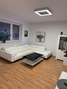 Kožena sedačka - 2