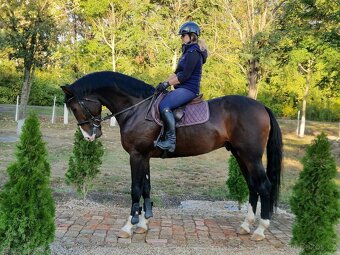 Hľadám nový domov #Karan - 2