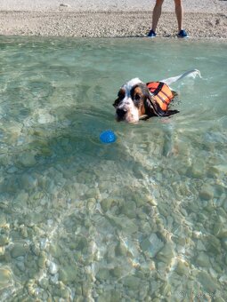 Plovací vesta Flamingo vel XS - 2