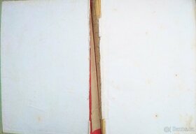 J. Foglar: Hoši od Bobří řeky. Ilustr. Zd.Burian. - 2