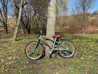 Dětské kolo Author Cosmic 20. - 2