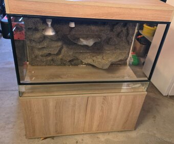 Terarium - 2