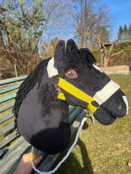 Hobby horse - 2