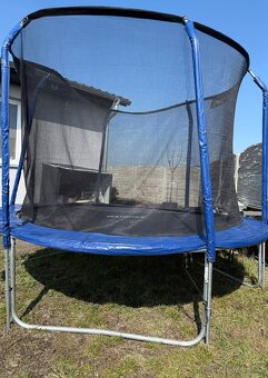 Trampolína Marimex 305 cm + ochranná síť a schůdky - 2