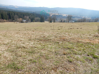 Prodej, pozemek 21 860 m², Křižánky - České Křižánky - 2