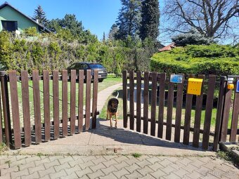 Plotová branka v dobrém stavu,š - od čepu k čepu 331 cm - 2