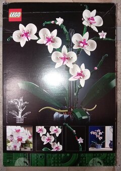 Lego Botanicals 10311 Orchidej - 2
