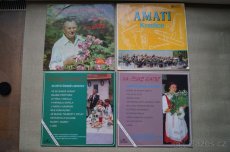 LP desky, Budvarka,Veselka, Valdauf, Lesanka, atd.lidovky - 2