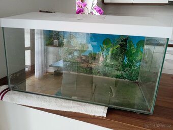 Akvárium 56 l s LED osvětlením - 2