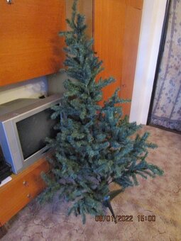 Vánoční stromek - 2