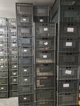 Potravinářské přepravky - 2