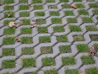 Zatravňovací dlažba 60x40x8 - 2