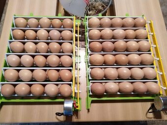 VONÉ MÍSTO V LÍHNI - 2