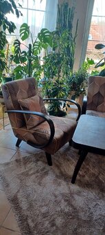 Párová křesla HALABALA C - 2