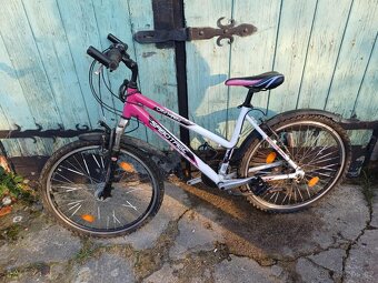 DÁMSKÉ HORSKÉ KOLO 26” - 2