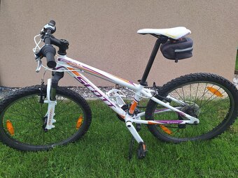Scott scale vel.24 - 2