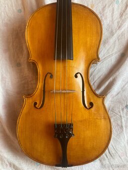 Viola 39,4 - 2