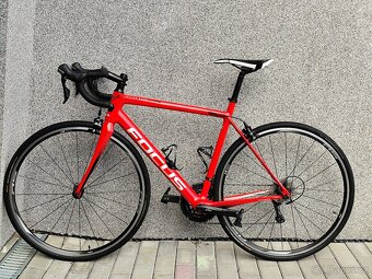 Focus Izalco Race, vel. 54 (170-185cm) - 2