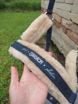 Ohlávky eskadron  a další - 2