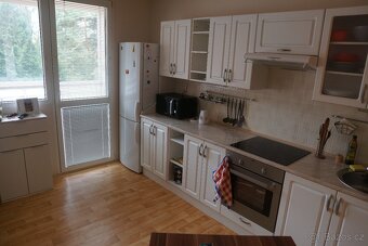 Pronajmu 1+KK Sokolovká Plzeň - město - 2