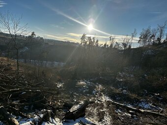 Prodej lesa v k.ú Střížov u Jihlavy 11 837 m2 - 2