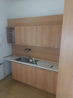 Pronájem domu Plzen u mostu Generála Pattona - 2
