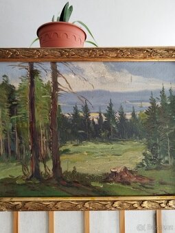 obraz LESNÍ MÝTINA, olej, sign. Trinkmoc - 2