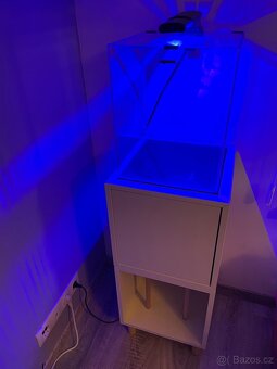Akvarium 30l + vybavení - 2