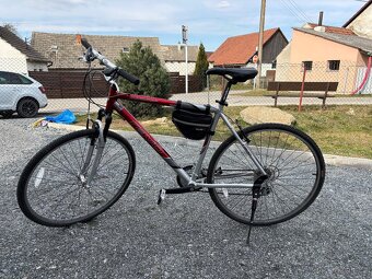 Kolo Ravo palomar - 2