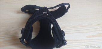 postroj pro kočku - 2