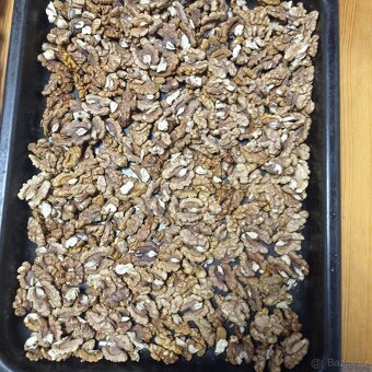 Vlašské ořechy - 2