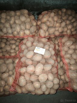 Brambory na bramboráky nebo kaši. - 2