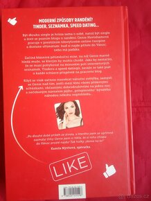 Jenny Stallard: HLEDÁM CHLAPA DO VÁNOC - 2