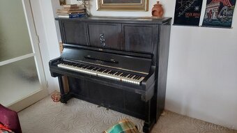 Prodej piana REPIA - 2