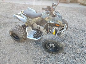 Can-am ds90x - 2